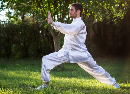 Tai Chi Meister