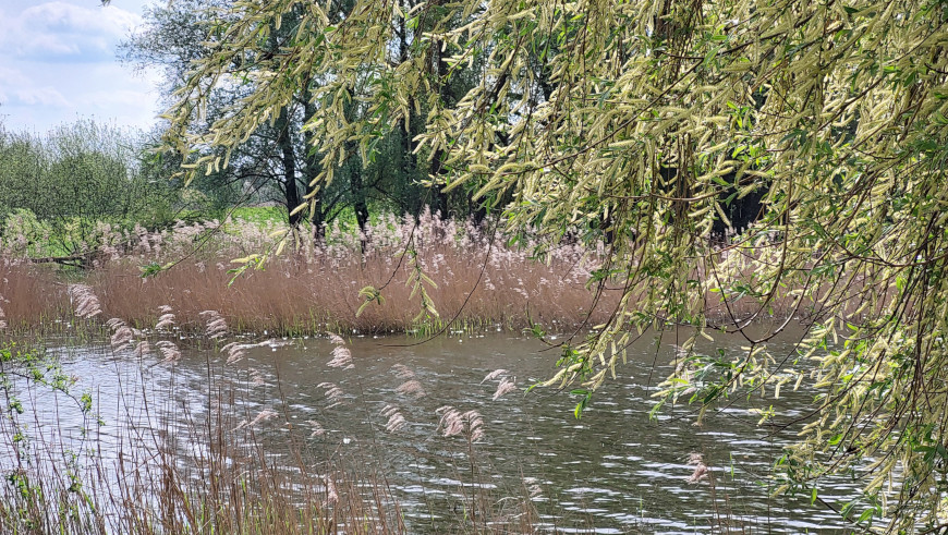 Mühlensee in Oberkrämer 