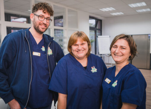 Team bei der Hauskrankenpflege Stolley: Maik, Katja und Tatjana