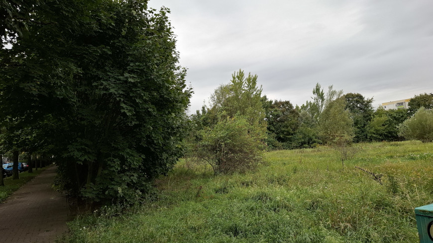 Schulneubau Aubacher Ring