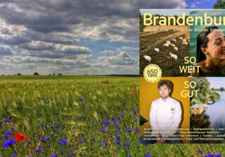 Brandenburg - neue tipBerlin Edition 2026